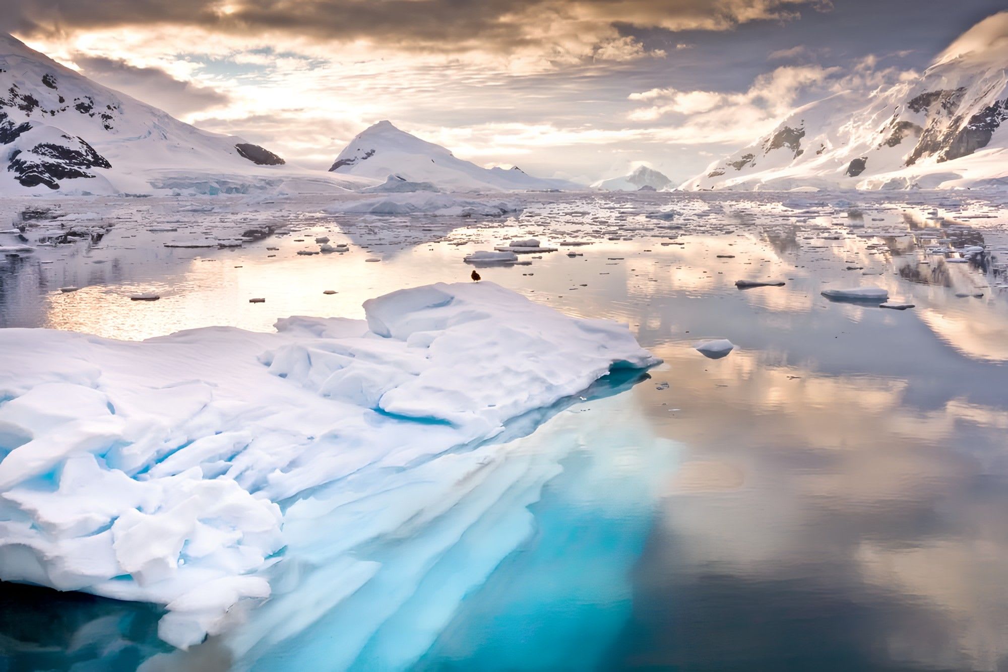 17 Night South America Cruise